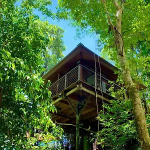 Resort Rainforest Retreat, Cairns